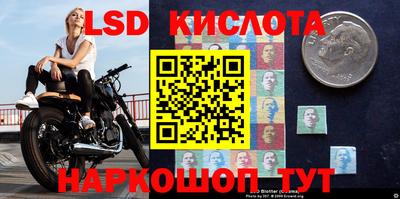 МДПВ Гусев