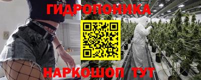 трава Гусь-Хрустальный