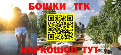 МДПВ Гусев