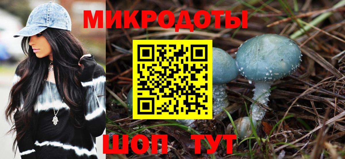 Галлюциногенные грибы Psilocybine cubensis  Вход с VPN  Медногорск 